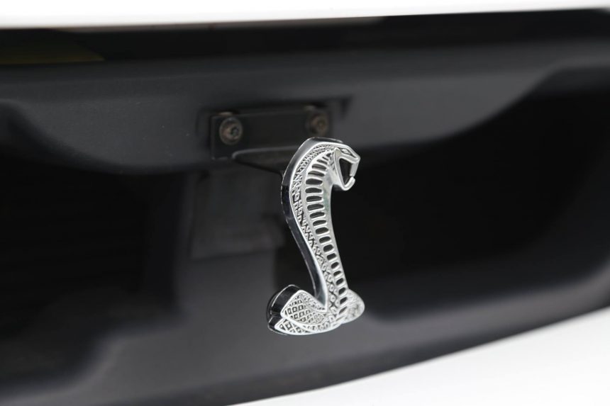 2003_Mustang_Terminator_Cobra_KB22_emblem